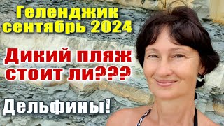 Геленджик сентябрь 2024 Дикий пляж  Дельфины  Открытое море [upl. by Maleki525]