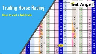 Peter Webb Bet Angel  How to exit a trade that has gone wrong  Betfair trading [upl. by Zales]