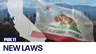 New California laws that take effect July 1 2024 [upl. by Uriisa]