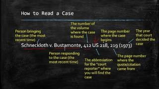 Understanding Case Citations [upl. by Adey]