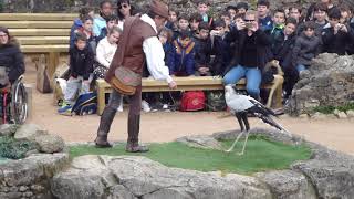 Serpentaire  Le Bal des Oiseaux Fantômes  Puy du Fou 2017 [upl. by Lynne]