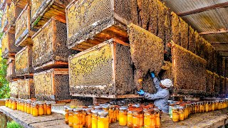 How Biggets Bee Farms Raise Billions Bees And Process Millions Tons Of Honey  Honey In Factory [upl. by Birdie]