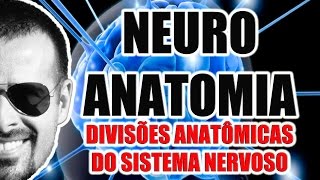 Neuroanatomia  Divisões anatômicas do Sistema Nervoso SNC SNP e SNA  VideoAula 068 [upl. by Oigile]