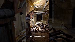 LARGE FLAT SPIDER Creeps Up on Explorer in Chernobyl Tunnels spider creepy scary [upl. by Anek445]