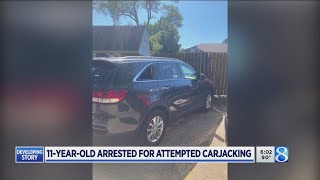 11yearold arrested in attempted carjacking in Wyoming police say [upl. by Wallie]