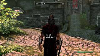 Guard talking about curved swords in Skyrim [upl. by Cindie]