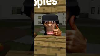 Escape Nextbots My Name Is Aughhh And Apple Cats Wants Apple gmod [upl. by Dyol]