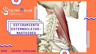 Estiramiento Esternocleidomastoideo [upl. by Othello767]