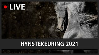 HYNSTEKEURING 2021 [upl. by Niroht]