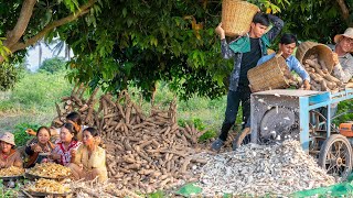 My Harvesting Cassava Season amp Making DeepFried Cassava Recipe in village  Video Kitchen Foods [upl. by Cormack]