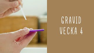 Gravid vecka 4 [upl. by Akeryt163]