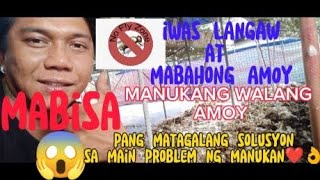 MANUKANG WALANG AMOY part 1♥️ paraan para maiwasan ang langaw at mabahong amoy Ng ipot Ng Manok [upl. by Dnalsor]