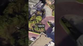 Lombard Street A Twist in Every Turn youtubeshorts [upl. by Alrak534]