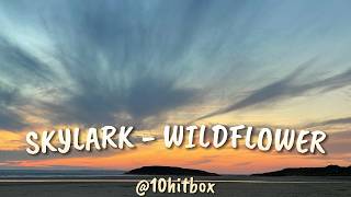 Skylark  Wildflower lyrics  10hitbox [upl. by Burl]