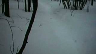 Little Manistee Michigan Motorcycle trail snow ride Pt 1 [upl. by Norri775]