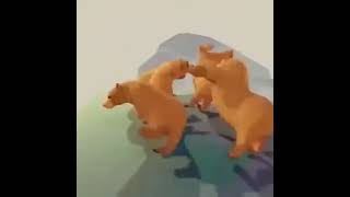 bear dancing meme template  bear dance on long mare  Lashkare shorts [upl. by Anilahs358]