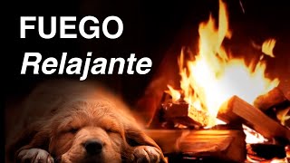 12 Horas de Sonido de Fuego 🔥 Relajante en Chimenea [upl. by Aesoh]