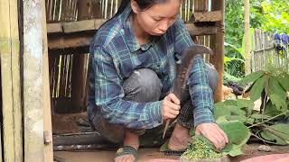 The girl chopped wood alone to cook bran for the pigs to eat [upl. by Asp]