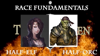 5e Fundamentals  Races HalfElf and HalfOrc InDepth [upl. by Belldame]