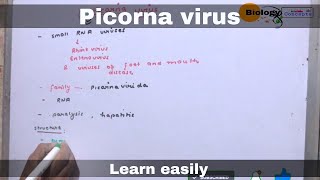 Picorna virus  biology [upl. by Kenrick]