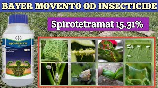 BAYER MOVENTO OD INSECTICIDE  movento od  spirotetramat 1531od [upl. by Evette]