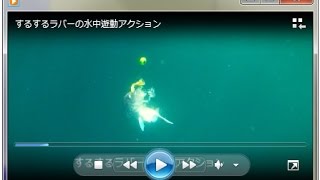 するするラバーの水中遊動アクション P2 [upl. by Corwin]