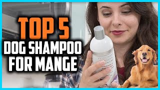 ✅Top 5 Best Dog Shampoo For Mange of 2024 [upl. by Netsud567]