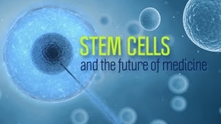 Stem Cells and the Future of Medicine  Research on Aging [upl. by Allekim]