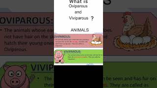 What is Oviparous and Viviparous animals3 10th Class syllabus and GK amp Current affairs points [upl. by Geri]