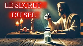 LE SEL ESTIL UNE ARME SPIRITUELLE  La Vérité Occultée du SEL Dans la Bible [upl. by Ritz]