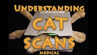 Understanding CT scans [upl. by Stormi251]