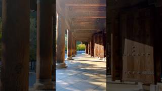 Early fall in Kyoto Nanzenji temple autumn garden temple travel japan kyoto [upl. by Adala135]