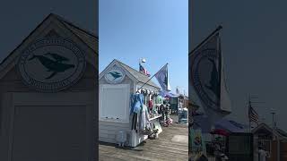 Provincetown Cape cod provincetown capecod travel [upl. by Phila]