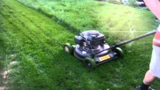 Honda MTD amp Stihl FS38 and BR430 Blower in Tall Grass  1st Lawncutting Vid [upl. by Thoma]