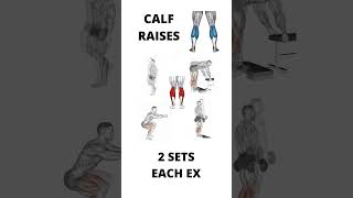 Calf Raises Workout for Calf muscles [upl. by Vevina770]