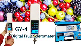 NADE GY4 Lab Portable Digital Fruit Sclerometer Digital Fruit Hardness Tester [upl. by Isidore]