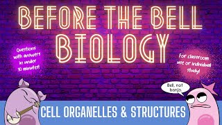 Cell Organelles amp Structures Before the Bell Biology [upl. by Rosenblast]