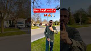 ਕੈਨੇਡਾ ਲੌਕ ਭੁੱਖੇ ਮਰ ਰਹੇ ਨੇ 🇨🇦🙏🏻🍁 canada shorts youtubeshorts [upl. by Veejar232]