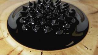 Magnet in Ferrofluid [upl. by Llenyaj604]