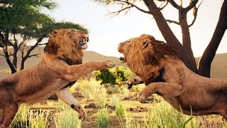 Elder Lion Fights for Survival  Animalia Survival [upl. by Vladimir]