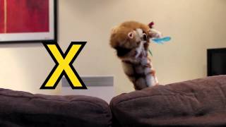 Geraldine the Giraffe learns the x sound [upl. by Katti]