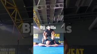 A few bjj drills and armbars bjjlifestyle bjj personaltrainer [upl. by Leynad]