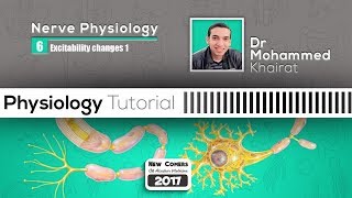 Physiology of nerve 7 Excitability changes part 1 [upl. by Tioneb516]