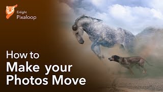 How to Make Photos Move with Pixaloop [upl. by Atla441]