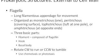 Microbiology chapter 4 part 1 [upl. by Noelyn681]