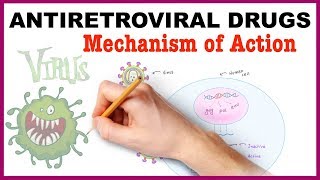 Antiretroviral Drugs Pharmacology  Mechanism of Action [upl. by Adnohsirk]