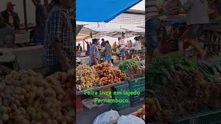 Feira livro em lajedo [upl. by Noiemad]