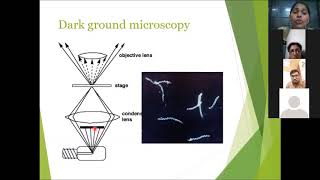 Dark ground microscopy [upl. by Marguerie]