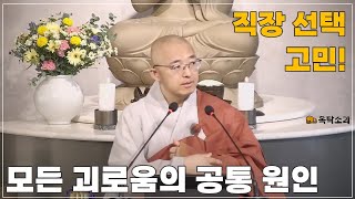 돈오113 모든 괴로움의 공통된 근본 원인 어떤 직장을 잡을까 내가 아닌 이유 [upl. by Tnert]