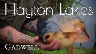 DAY TICKET CARP winter carp fishing on Hayton Lakes Retford… STUNNERS [upl. by Zwart399]